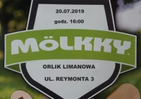 Mistrzostwa Orlików makroregionu południowego w Mölkky - zdjęcie główne