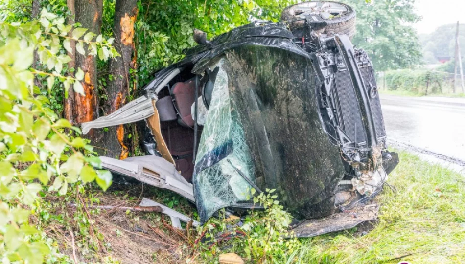 Dachem zatrzymał się na drzewach. Cztery osoby poszkodowane - zdjęcie 1