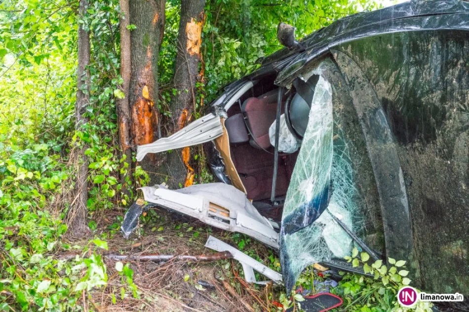 Dachem zatrzymał się na drzewach. Cztery osoby poszkodowane - zdjęcie 2