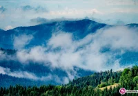 Będzie chłodno i deszczowo -  może spaść nawet 70 litrów wody na m2 - zdjęcie główne