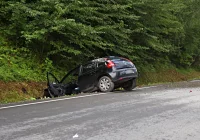 Samochód wypadł z jezdni. Pięć osób, w tym roczne dziecko, trafiło do szpitala - zdjęcie główne