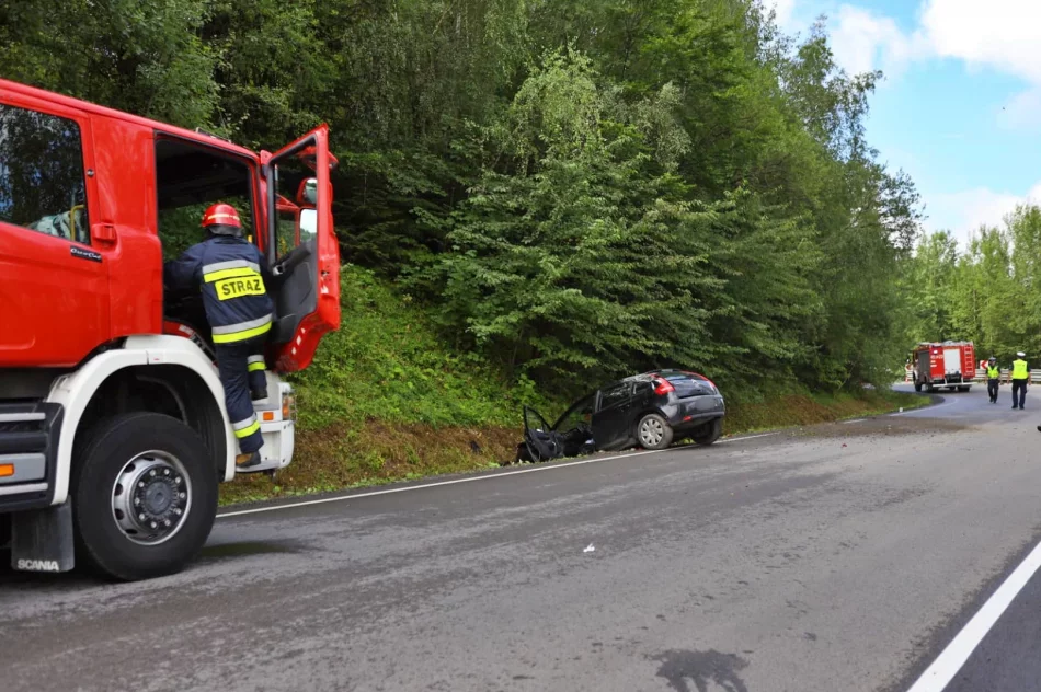 Samochód wypadł z jezdni. Pięć osób, w tym roczne dziecko, trafiło do szpitala - zdjęcie 3