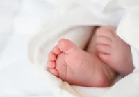 Czworaczki przyszły na świat w Szpitalu Uniwersyteckim - zdjęcie główne