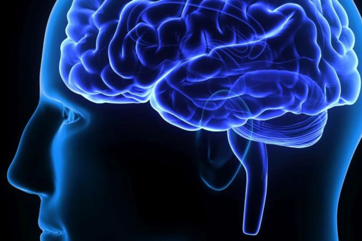 Pięć faktów o chorobach mózgu, których możesz nie znać