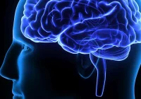 Pięć faktów o chorobach mózgu, których możesz nie znać - zdjęcie główne