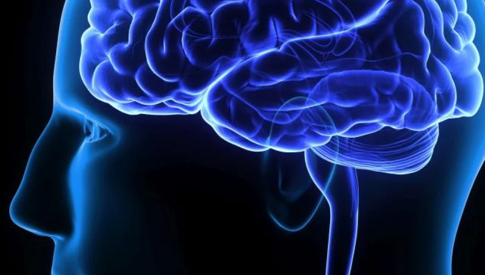 Pięć faktów o chorobach mózgu, których możesz nie znać - zdjęcie 1
