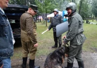 „A ja chodzę nie przejmując się ulewą ani spiesząc …” – V Jarmark Historyczny „Born in The PRL” za nami! - zdjęcie główne