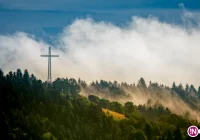 Ostrzeżenie IMiGW: silny wiatr - zdjęcie główne