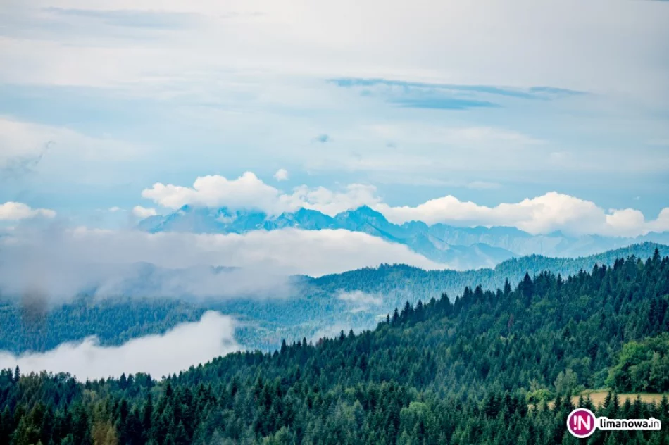 Ostrzeżenie IMiGW: silny wiatr - zdjęcie 2