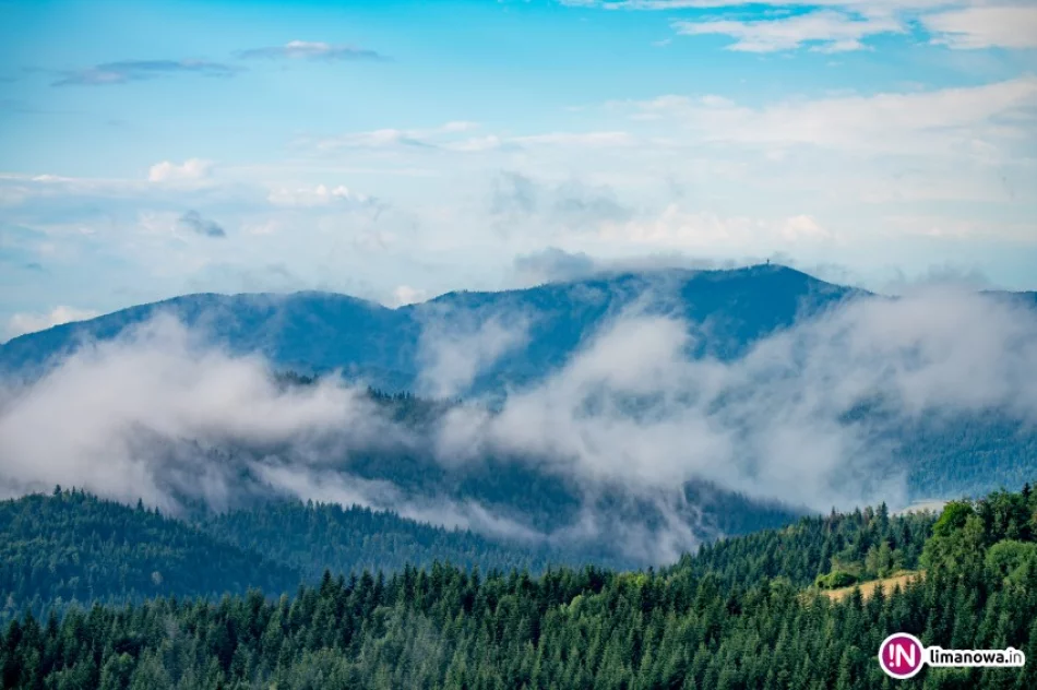 Ostrzeżenie IMiGW: silny wiatr - zdjęcie 4