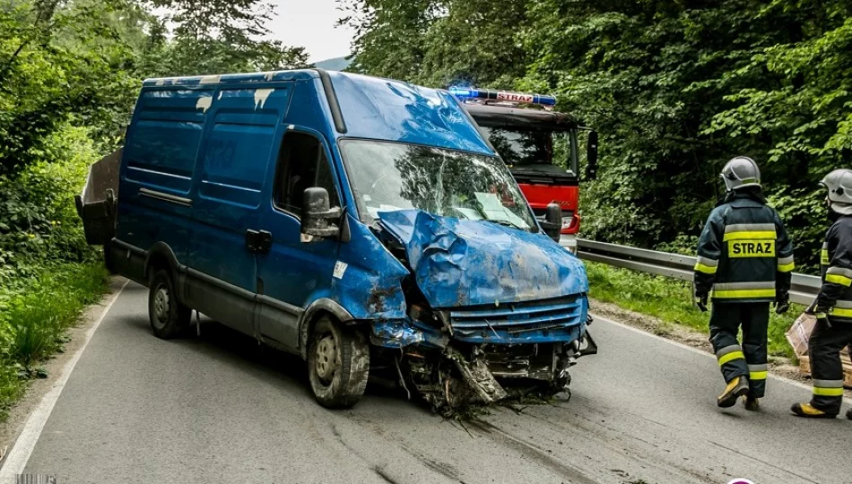 Samochód dostawczy wypadł z drogi i wjechał do potoku (wideo) - zdjęcie 1