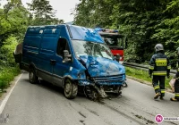 Samochód dostawczy wypadł z drogi i wjechał do potoku (wideo) - zdjęcie główne