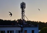 Maszt telekomunikacyjny tuż za płotem? Nowe prawo wiąże ręce sąsiadom. Do 12 metrów „bez dyskusji” - zdjęcie główne