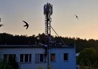 Gdy się maszty pną do góry... - zdjęcie główne