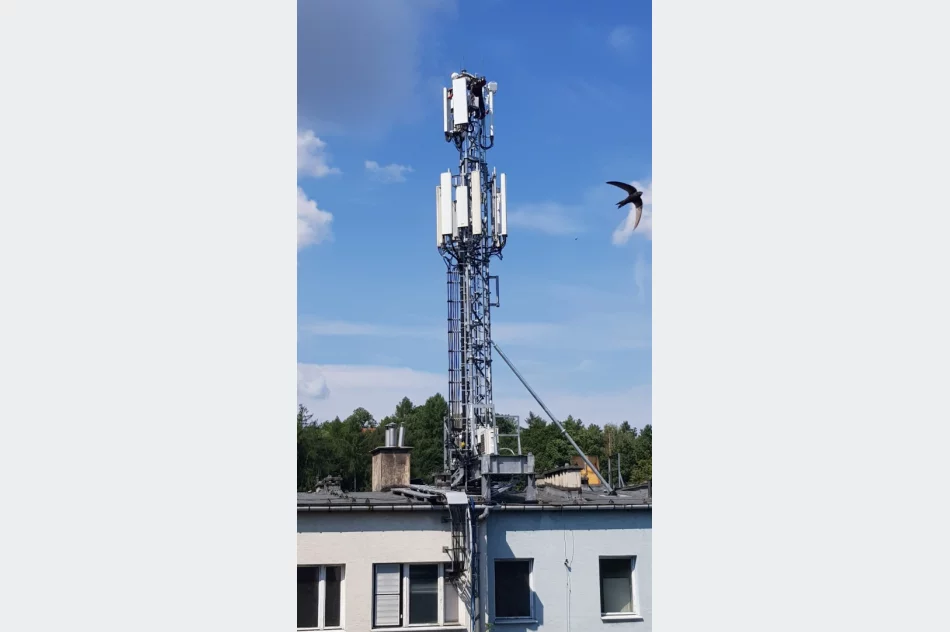 Gdy się maszty pną do góry... - zdjęcie 2