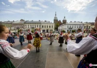 ŚDG: Inicjacja na pastwisku i wróżba na jarmarku! - zdjęcie główne