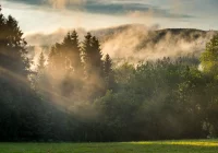Policjanci odnaleźli poszukiwanego mężczyznę - zdjęcie główne