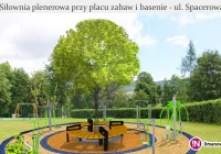 W Parku Miejskim powstanie siłownia - zdjęcie główne