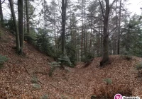 Starożytne i średniowieczne miejsca obronne w Beskidzie Wyspowym - zdjęcie główne