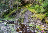 Nie wiadomo w jakich okolicznościach mężczyzna znalazł ludzką czaszkę - zdjęcie główne