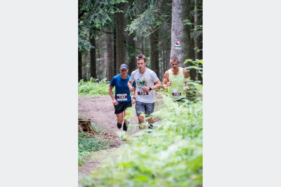 III Bieg Górski o Złotą Paproć - 2019 - zdjęcie 9