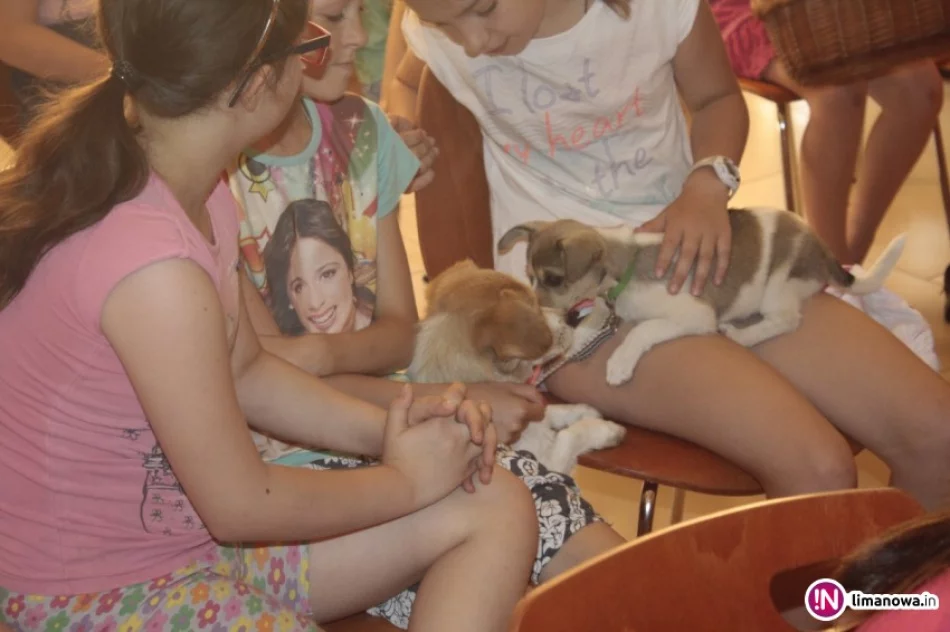 Spotkanie z weterynarzem z okazji Światowego Dnia Psa - zdjęcie 3