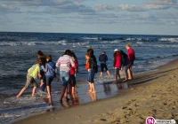 Uczniowie na Zielonej Szkole nad morzem (zdjęcia) - zdjęcie główne