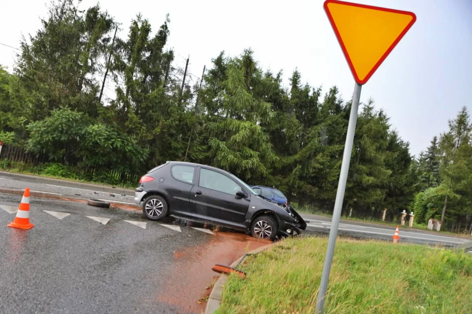 Peugeot zderzył się z Fiatem. Sprawca kolizji ukarany mandatem - zdjęcie 4