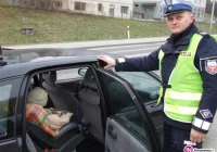 Policyjna akcja w Małopolsce - zdjęcie główne