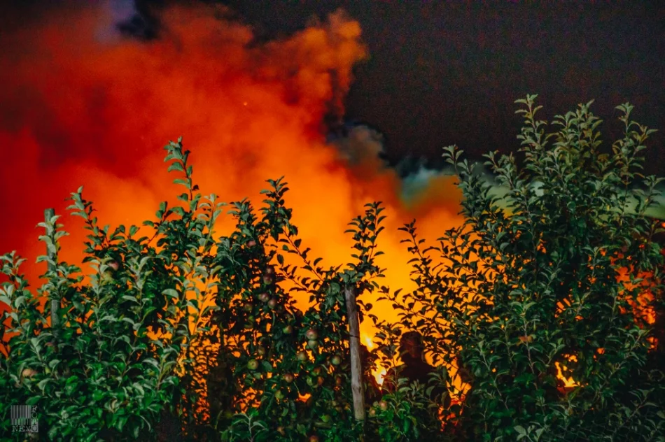 114 strażaków gasiło pożar budynku. Straty opiewają na 580 tys. zł - zdjęcie 5