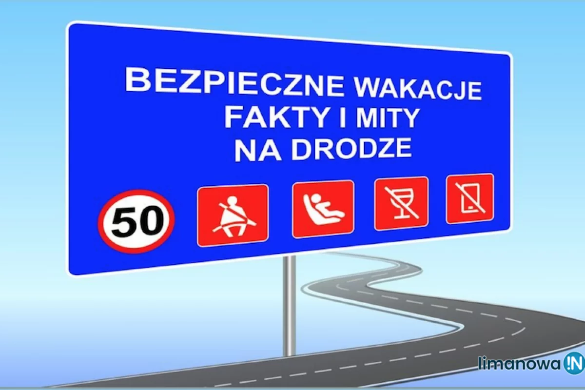 Najczęściej do wypadków dochodzi wczesnym rankiem i wieczorem ?