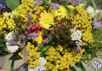 Seniorki zapraszają dzieci do udziału w warsztatach - zdjęcie główne