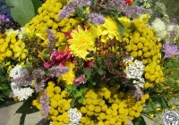 Zielne snopki - zapraszamy do udziału w warsztatach - zdjęcie główne