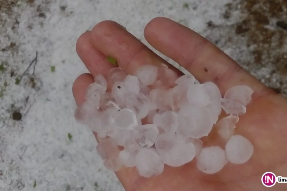 Awarie prądu i powalone drzewa po burzach z gradobiciem - zdjęcie 2