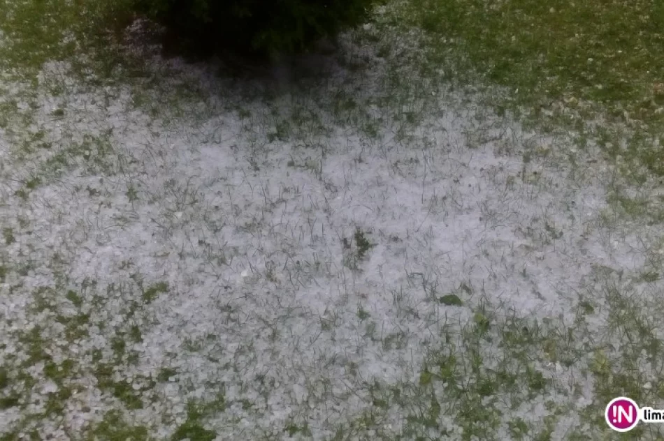 Awarie prądu i powalone drzewa po burzach z gradobiciem - zdjęcie 3