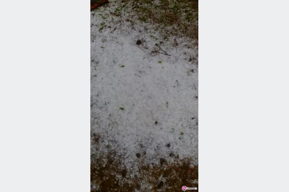 Awarie prądu i powalone drzewa po burzach z gradobiciem - zdjęcie 4