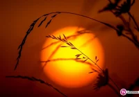 Co robić, gdy z nieba leje się żar? - zdjęcie główne