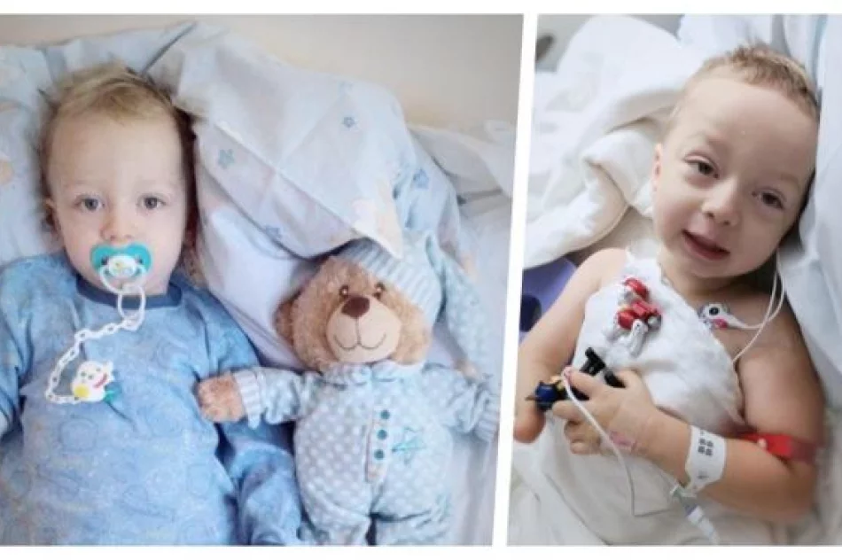 Operacja może odbyć się w Polsce. Koszty mniejsze, ale pomoc wciąż potrzebna - zdjęcie 4