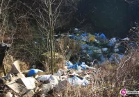 Podrzucają śmieci - straż miejska sprawdza i daje mandaty - zdjęcie główne