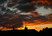 Rośnie liczba ekointerwencji - zdjęcie główne