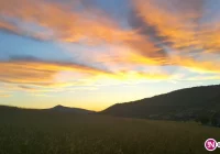 60 osób szukało 33-latka. Odnalazł się... w domu i trafił do szpitala - zdjęcie główne