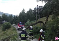Silny wiatr na Limanowszczyźnie - 22 interwencje straży - zdjęcie główne