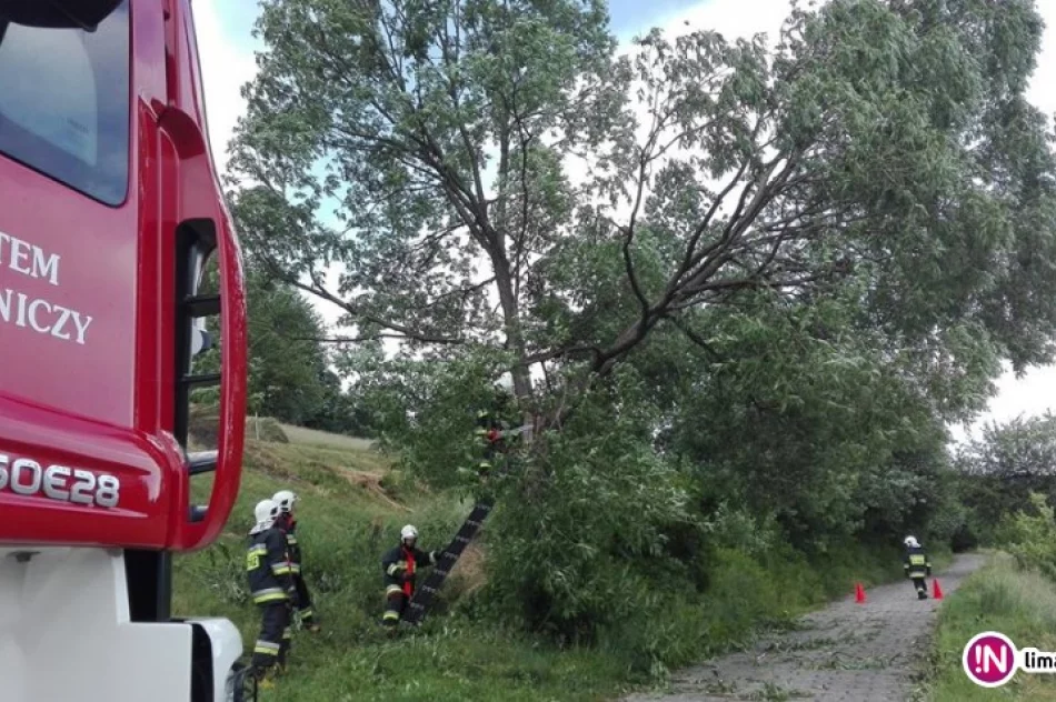 Silny wiatr na Limanowszczyźnie - 22 interwencje straży - zdjęcie 2