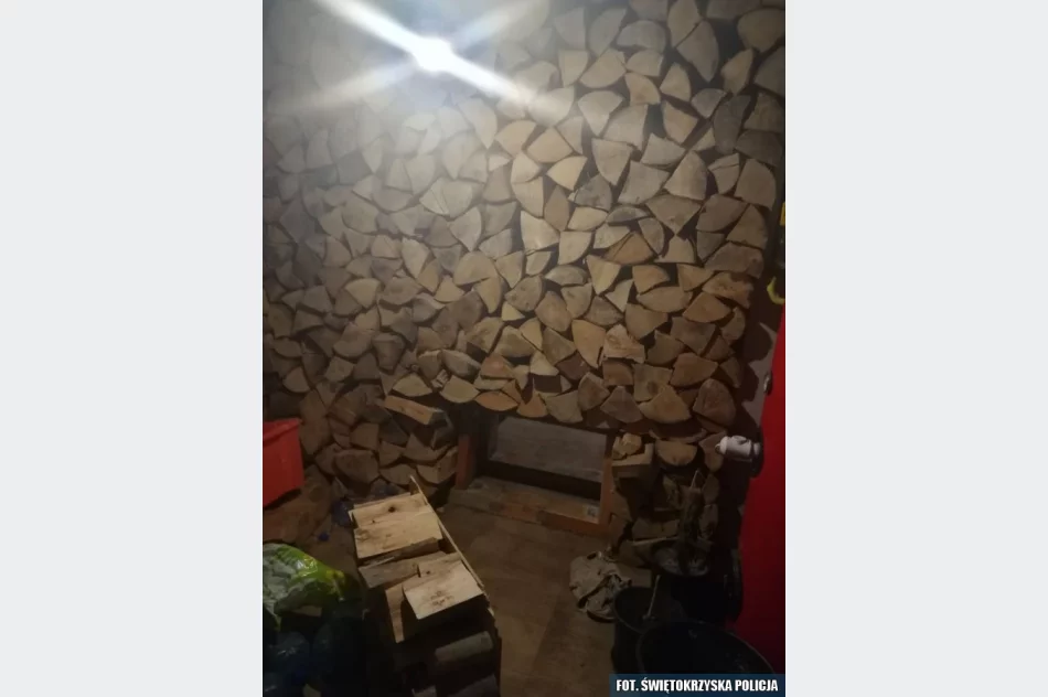 W ukrytym pomieszczeniu miał m.in. 1,5 kg marihuany - zdjęcie 7