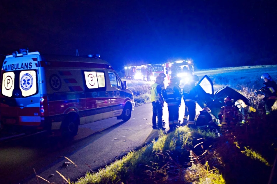 Pijany 23-latek wjechał do rowu. Wcześniej uszkodził zaparkowany samochód i uciekł - zdjęcie 2