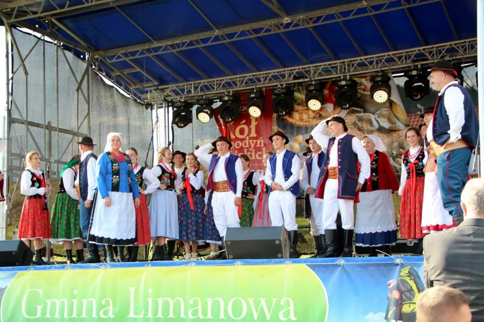 Gminne Koła podczas Powiatowego Przeglądu KGW - zdjęcie 3