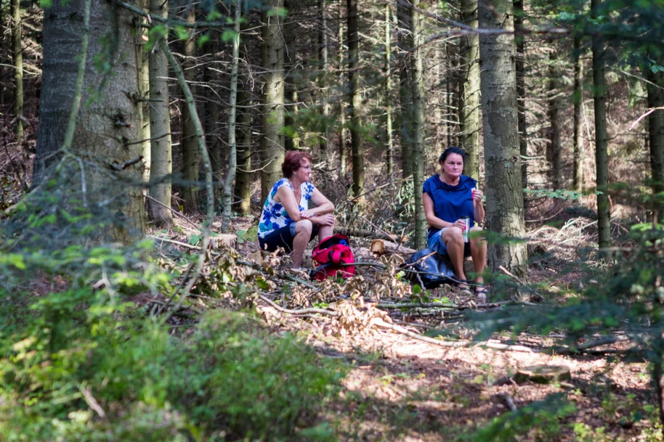 Odkryj Beskid Wyspowy - Mogielica 2019 - zdjęcie 4
