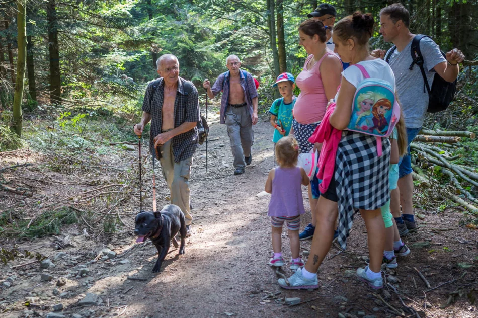 Odkryj Beskid Wyspowy - Mogielica 2019 - zdjęcie 5