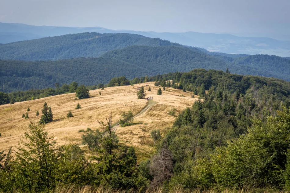 Odkryj Beskid Wyspowy - Mogielica 2019 - zdjęcie 7
