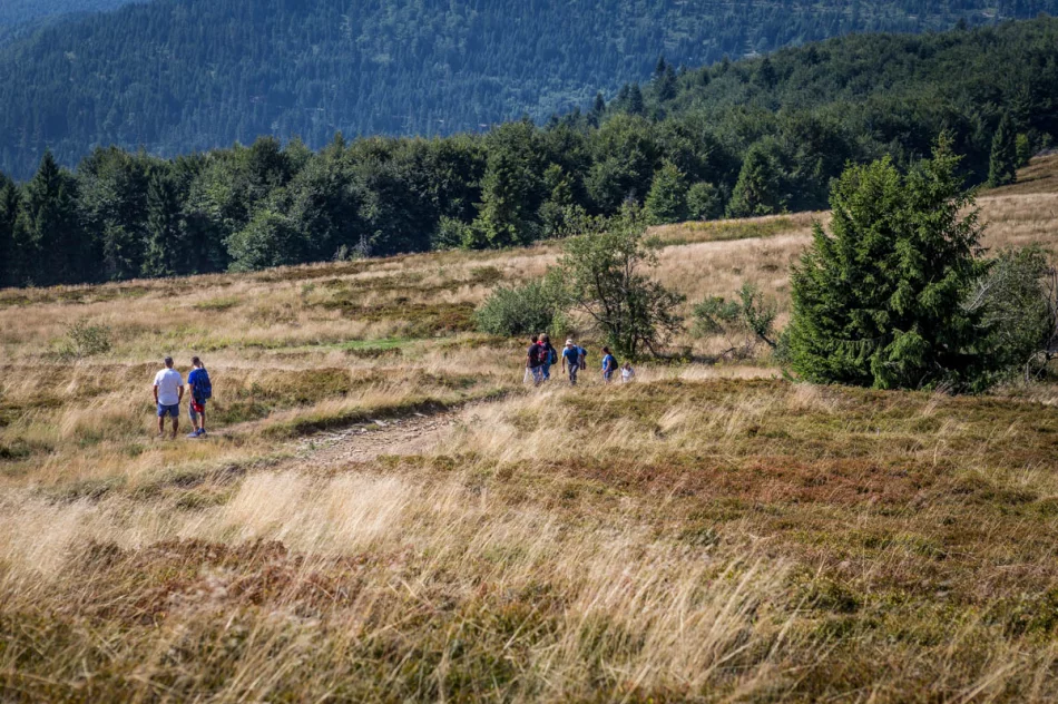 Odkryj Beskid Wyspowy - Mogielica 2019 - zdjęcie 9